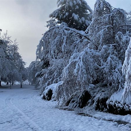 Woodbank Road Escape Βίλα Hanmer Springs Εξωτερικό φωτογραφία