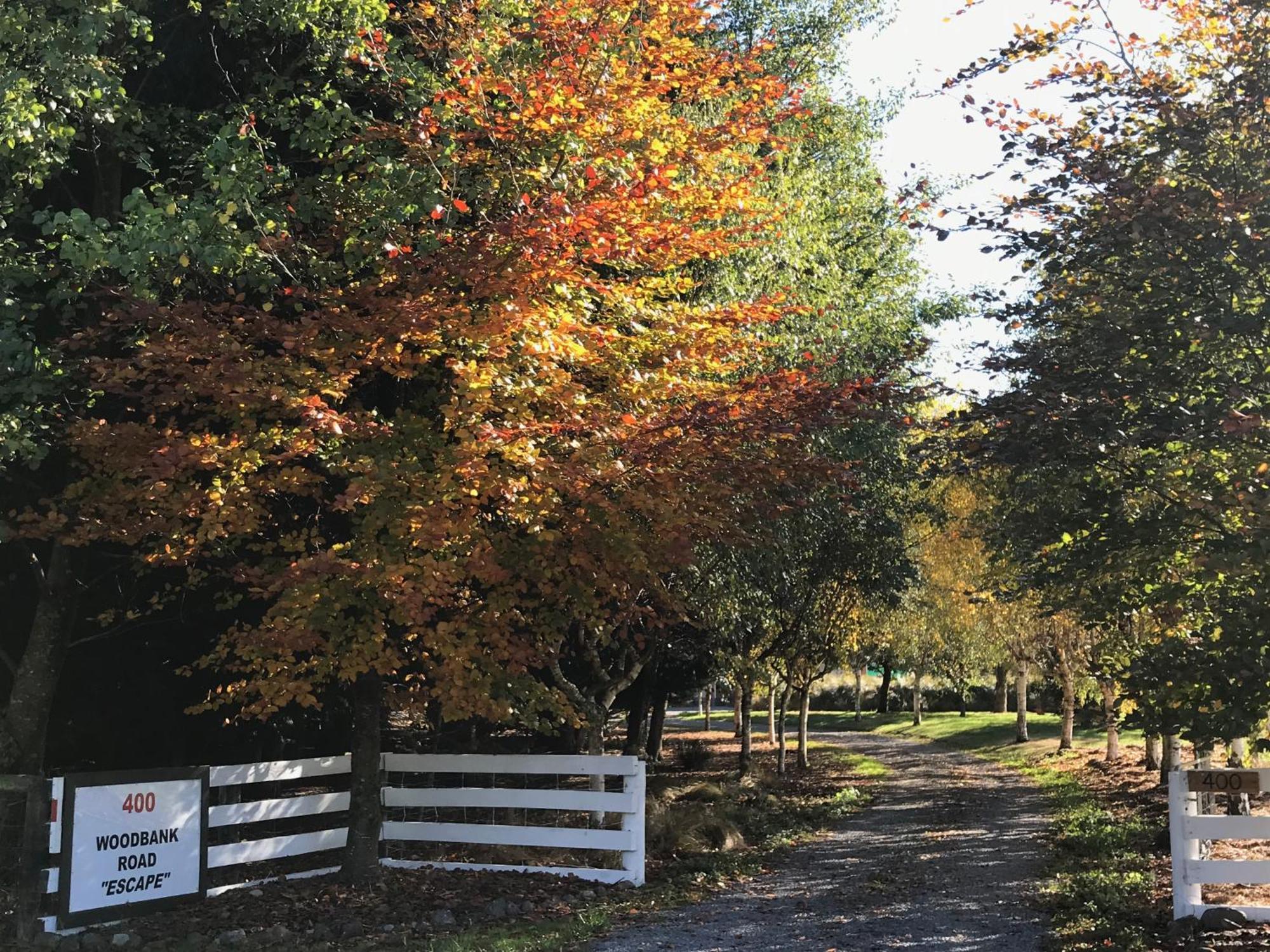 Woodbank Road Escape Βίλα Hanmer Springs Εξωτερικό φωτογραφία