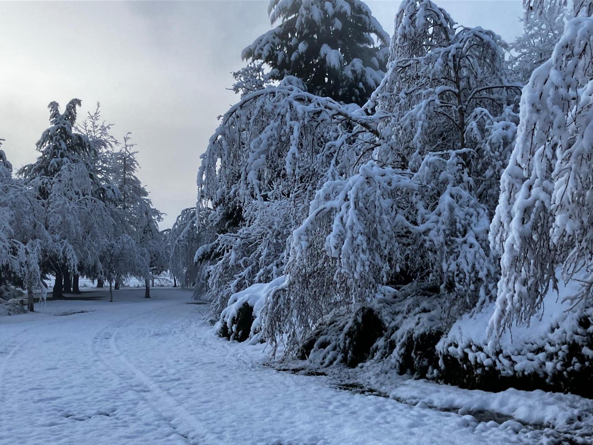 Woodbank Road Escape Βίλα Hanmer Springs Εξωτερικό φωτογραφία